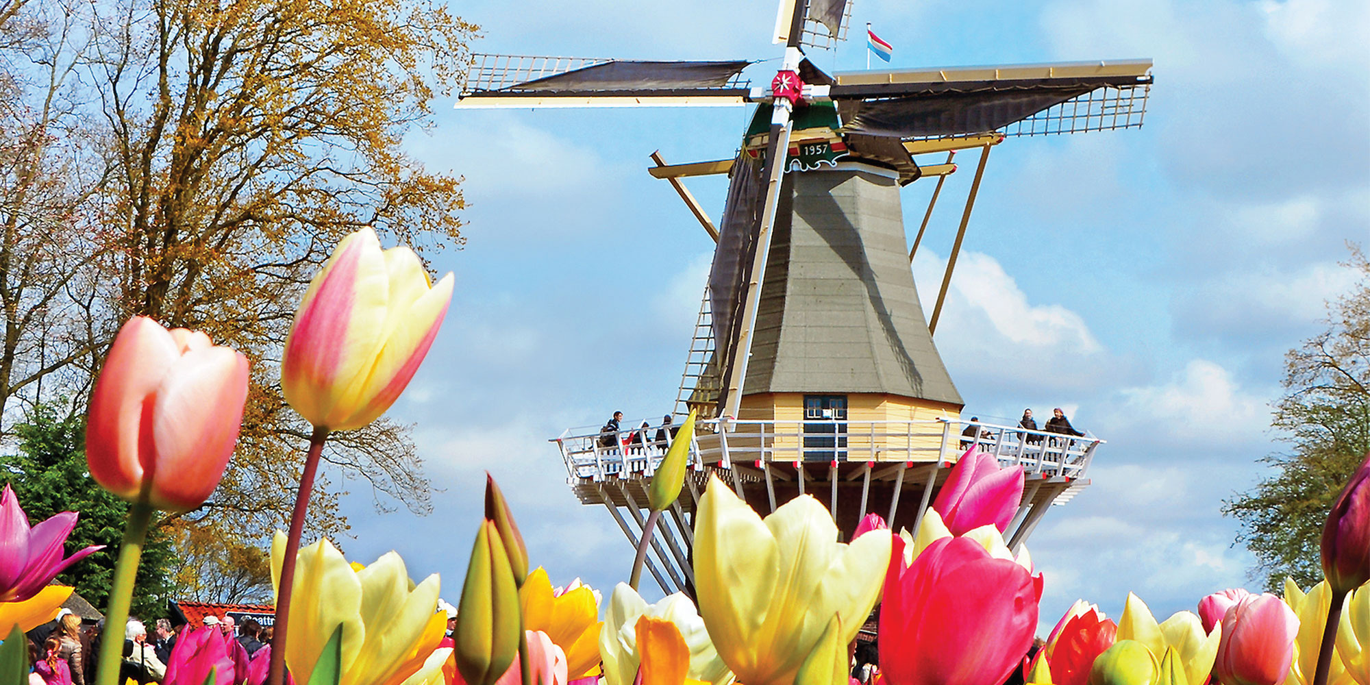 Tulip Time on the Romantic Rhine - Direct Travel